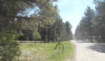Lot 7, Angel Fire, NM 87710