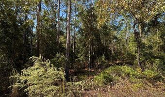 Lot 10 16th Ave, Bell, FL 32619