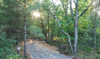 Michael Drive, Alger, MI 48610