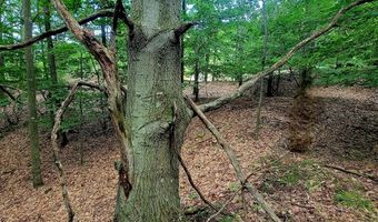 Maxey Road unit 7.2 Acres 7.2 Acres, Arcadia, MI 49613