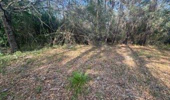 Delta Woods Drive, Bay Minette, AL 36507