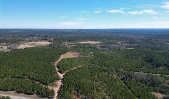 Lot 4 Robinsonville Road, Atmore, AL 36502