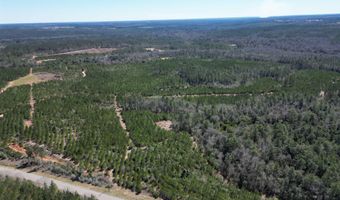 01 Robinsonville Rd, Atmore, AL 36502