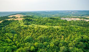 21814 State Hwy 248, Aurora, MO 65605