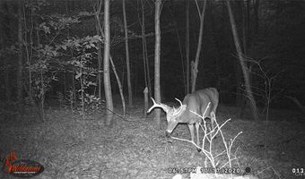Cr-38, Alma, NY 14708