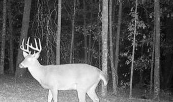 Highway 112, Abbeville, GA 31001