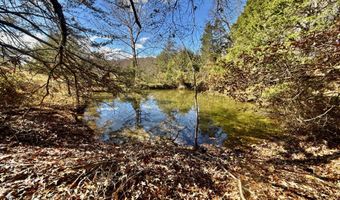 1520 Brittontown Rd, Afton, TN 37616