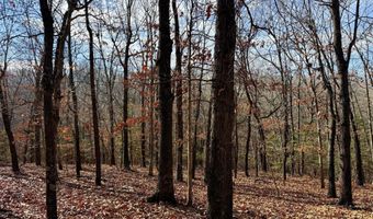 Farm Rd 1187 Lc, Ash Grove, MO 65604