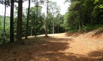 8 63ac Gravely Hill Rd, Bethpage, TN 37022