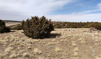 15 County Rd N8641, Concho, AZ 85924