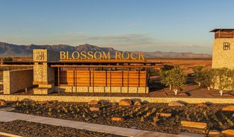 9915 S DUTCHMAN Dr, Apache Junction, AZ 85120