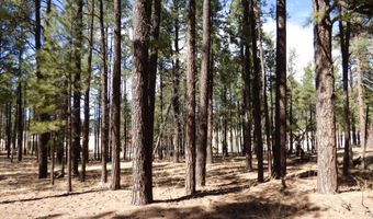 8 B County Road 2267 Escudilla Rd, Alpine, AZ 85920