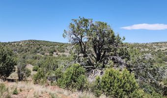 Lot 30 Off Old Hwy 66, Ash Fork, AZ 86320