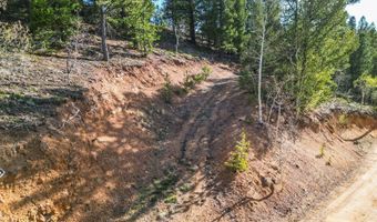 272 Wise Rd, Bailey, CO 80421