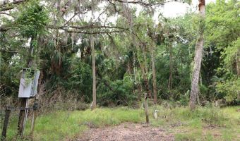 2998 SW Armadillo Trl, Arcadia, FL 34266