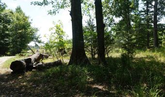 000 Stokes Rd, Bald Knob, AR 72010