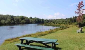 Katu Trail and Penn Forest, Albrightsville, PA 18210