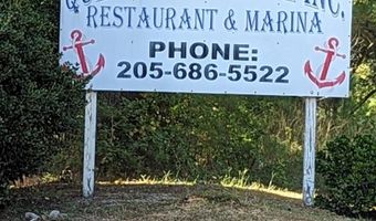 679 QUINNS Lndg, Adger, AL 35006