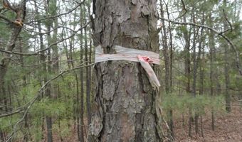 Long Branch Lane, Bee Branch, AR 72013