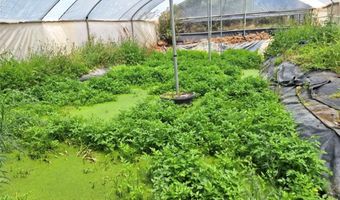 41790 Jay Dee Ln, Anza, CA 92539