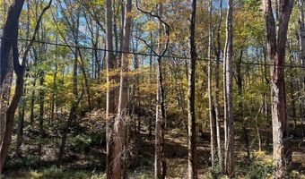 10494 Ball Ground Hwy, Ball Ground, GA 30107