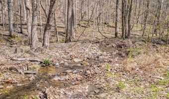 163 Acres Duck Springs Rd, Attalla, AL 35954