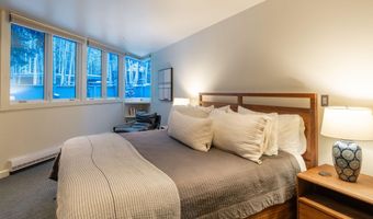 506 W Hallam St, Aspen, CO 81611