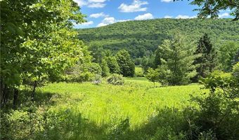 2613 Murphy Hill Rd, Andes, NY 13731