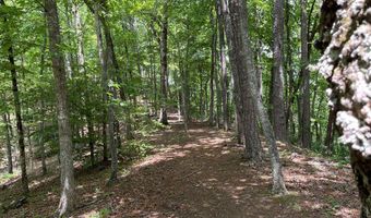 21 Collett Woods Trl Lot #21, Andrews, NC 28901