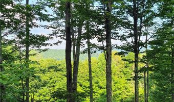 Lot # 19 Brush Hollow Road, Bovina, NY 13740