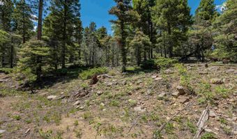 Lot 148 Brazos Dr, Angel Fire, NM 87710