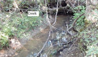 330 County Road 245, Abbeville, MS 38601