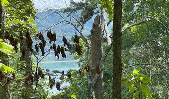 Bayside Boulevard lot 14, Bean Station, TN 37708