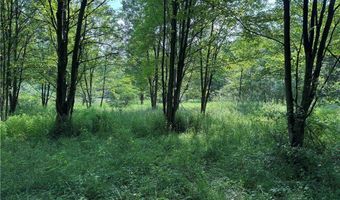 749 Green Rd, Alfred, NY 14803