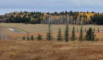 1650 Last Resort Ln, Ashton, ID 83420