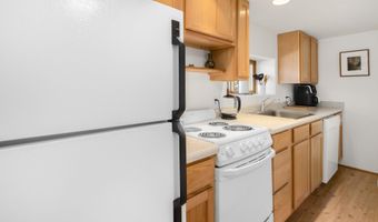 83 Sagebrush Ln, Aspen, CO 81611