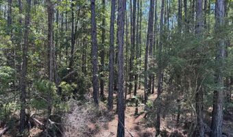 3000 Woody Bayou Dr, Bay St. Louis, MS 39520