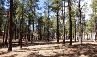 8 B County Road 2267 Escudilla Rd, Alpine, AZ 85920