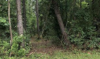 Lot 6 Virecent Rd, Cantonment, FL 32533