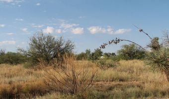 16415 S Shoshone Trl 317, Benson, AZ 85602