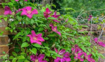 604 Mapleton Ave, Boulder, CO 80304