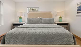 447 E Cooper Ave 1, Aspen, CO 81611