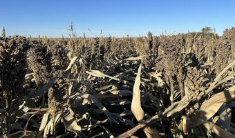 00000 CR 140, Alexander, KS 67513