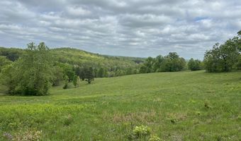 Co Rd 321 Route 5, Ava, MO 65608