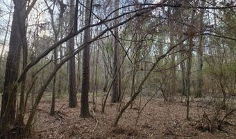 U.S. Highway 51, Bogue Chitto, MS 39629
