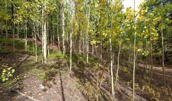 452 QUARTZVILLE Rd, Alma, CO 80420