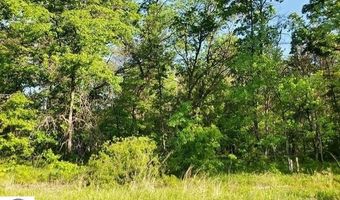 Quigley Road 40 Acres Quigley Road, Alger, MI 48610