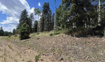 Plesant Valley lot 1302, Angel Fire, NM 87710