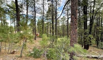 226 Elk Dr, Bayfield, CO 81122