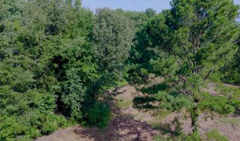 1000 Point Mason Rd, Big Sandy, TN 38221